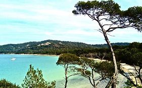 Ile De Porquerolles : T3 Climatise Vue Mer