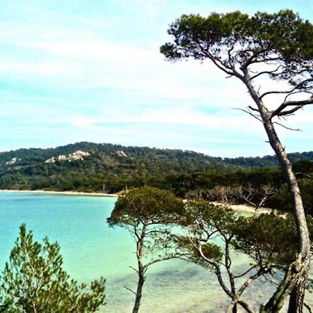 Ile De Porquerolles : T3 Climatise Vue Mer Extérieur photo
