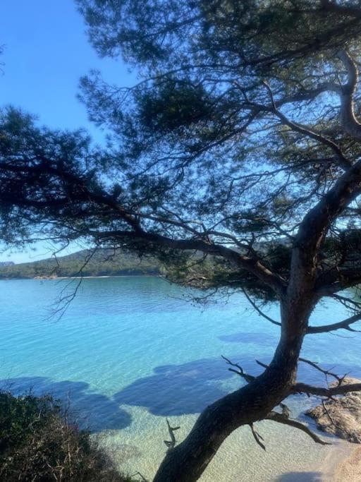 Ile De Porquerolles : T3 Climatise Vue Mer Extérieur photo