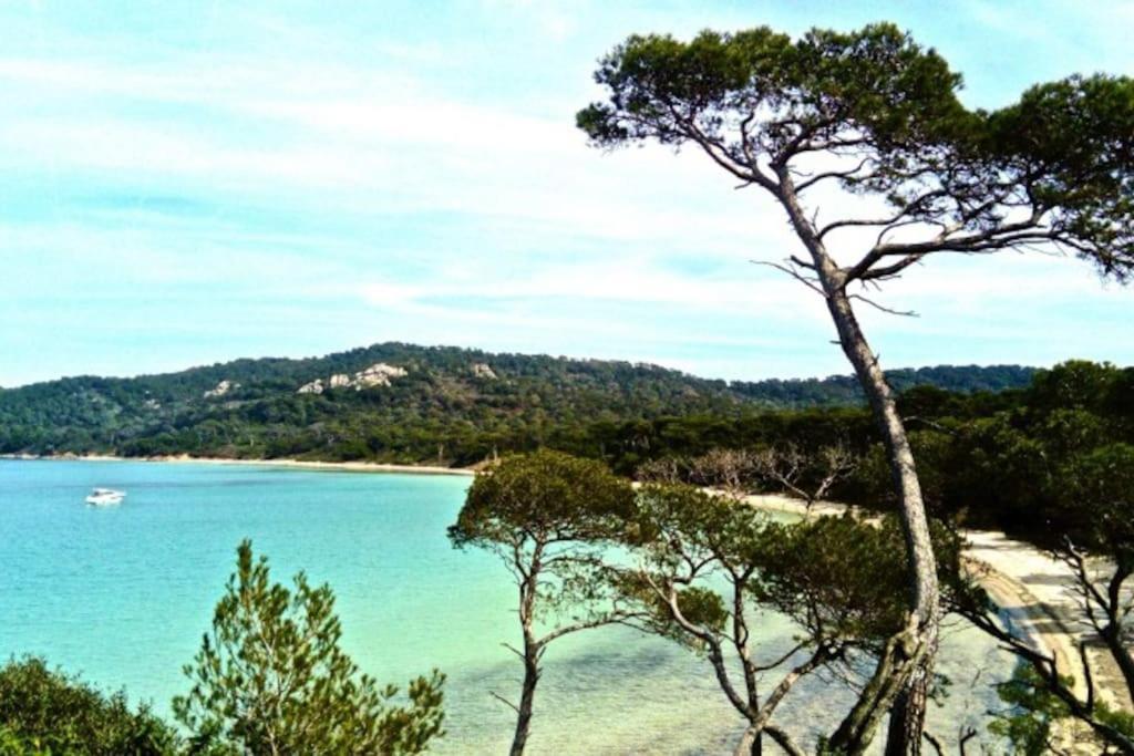 Ile De Porquerolles : T3 Climatise Vue Mer Extérieur photo